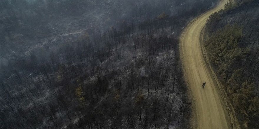 Gelibolu Yarımadası'ndaki yangın kontrol altında