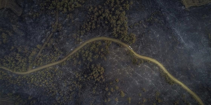 Bakan Pakdemirli: Tarihi Gelibolu Yarımadası'ndaki Orman Yangını Kontrol Altına Alındı