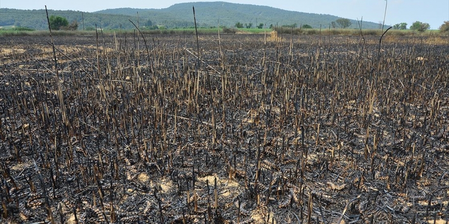Tarihi Gelibolu Yarımadası'nın Sakinleri 26 Yıl Önceki Korkulu Saatleri Yeniden Yaşadı
