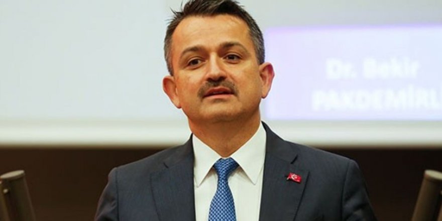 Aşkım Tan yazdı: OĞUL BAKAN