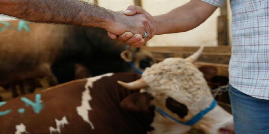 Tarım Bakanlığı Bilim Kurulu üyesi Prof. Dr. Ayaz: Kurbanlıklarda bugüne kadar koronavirüs tespit edilmedi