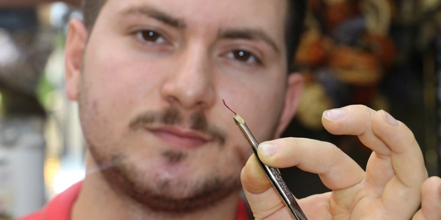 Sivas'ta cımbızla topluyor, kilosunu 30 bin TL'ye satıyor