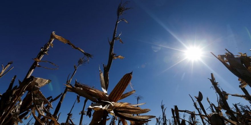 Küresel ısınmada tablo kötüleşiyor: Daha sıcak hava riski artıyor