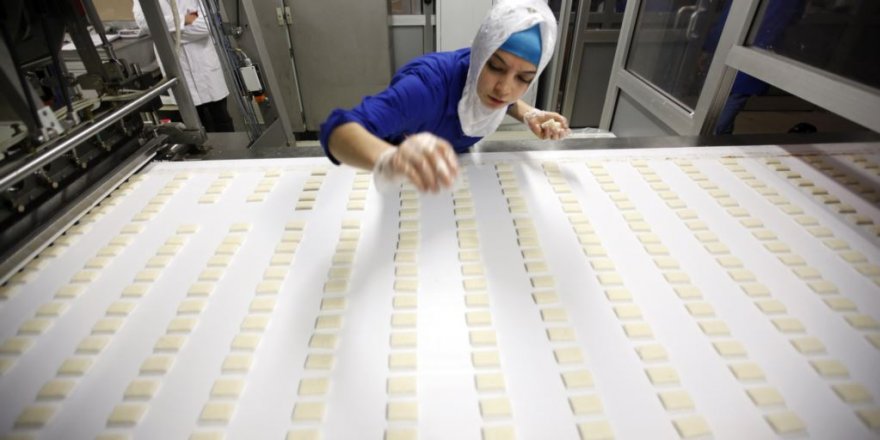 Türkiye’de Çalışabilir Nüfusun Yüzde 41’i İstihdam Ediliyor