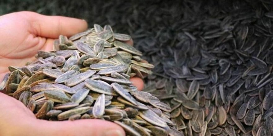 'Dünya’da Çinliler’den sonra en çok Türkler çitliyor'