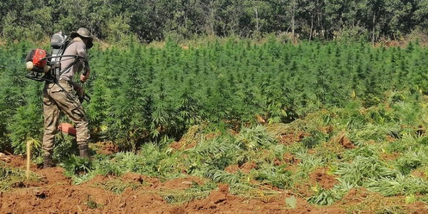 Terör örgütünün en önemli finans kaynaklarından biri olan uyuşturucuya karşı mücadele aralıksız sürüyor.