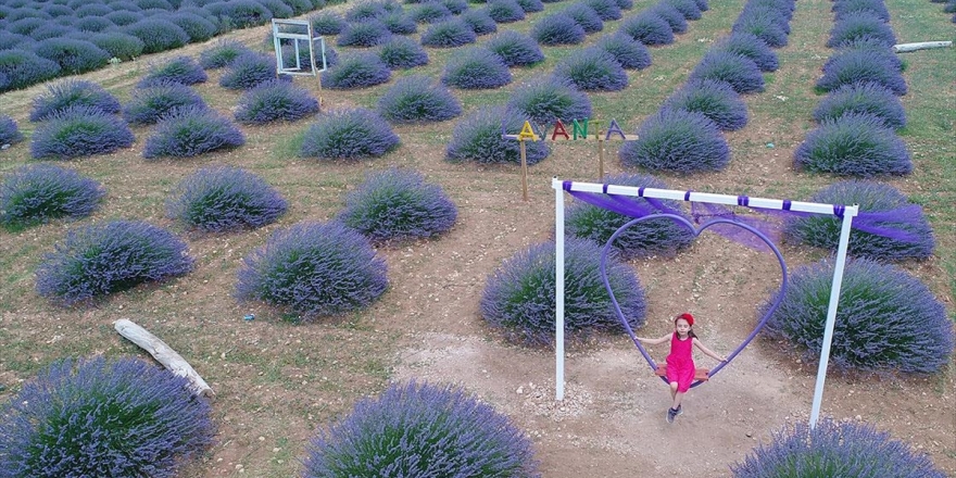 'Lavanta Kokulu Köy' Misafirlerini Bekliyor