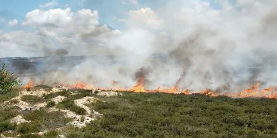 Tuzla'da ormanlık alanda yangın