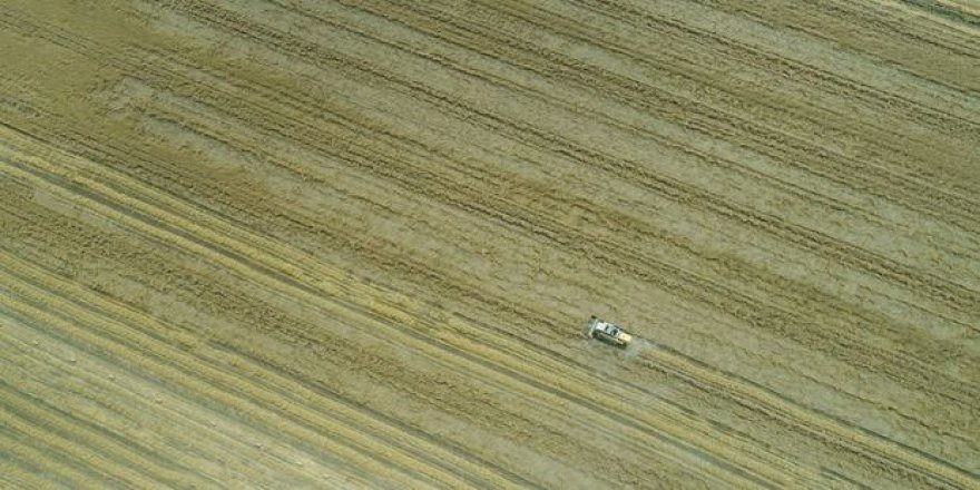 Yılın ilk 6 ayında 182 bin tarla, 154 bin arsa satıldı