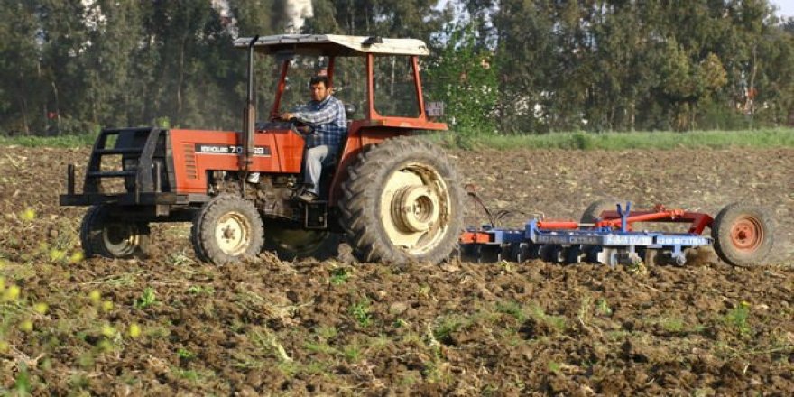 Tarım-ÜFE Haziran'da arttı