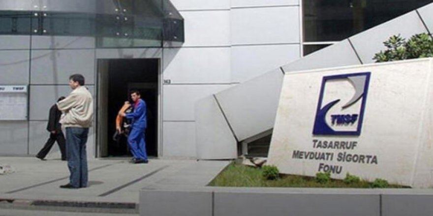 TMSF’ye devredilen şirketler büyüdü