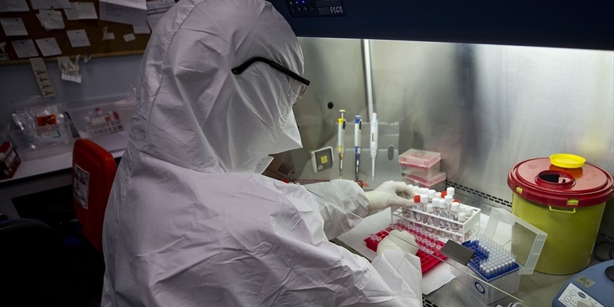 Tat Ve Koku Kaybı Kovid-19 İçin Potansiyel Tarama Semptomları Olarak Ortaya Çıktı