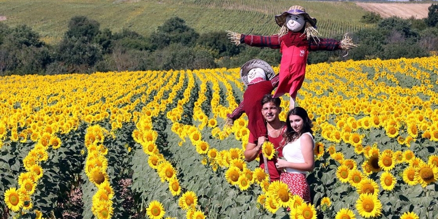 Trakya'da 'Agro Turizmi' Atağı