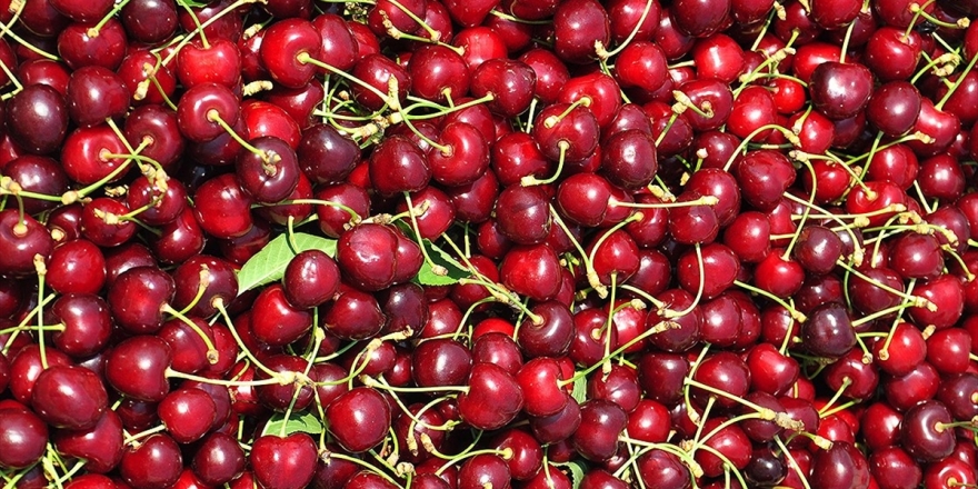 İhracata Dayalı Meyvelerde 'Markalaşma' Talebi