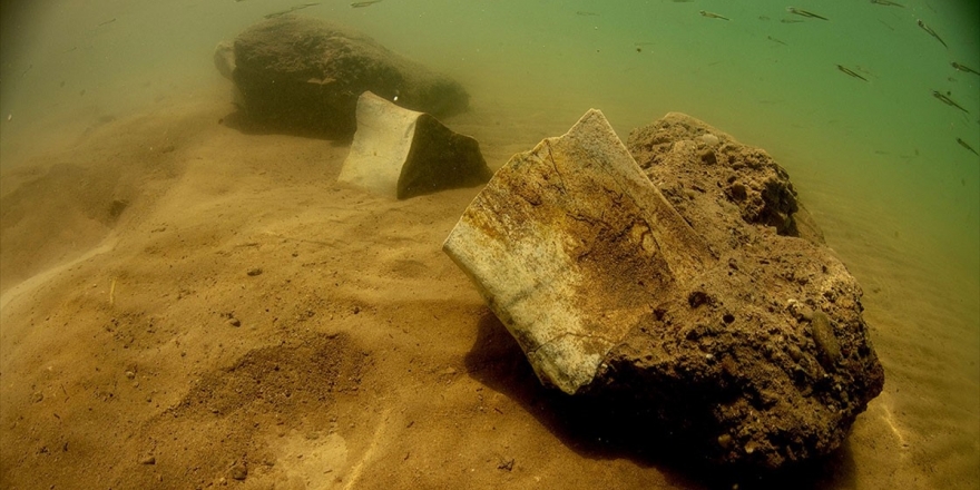 Fillerin Atasının 7,5 Milyon Yıllık Fosili Görüntülendi