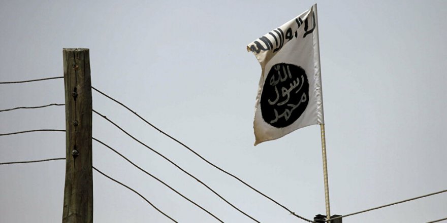 Nijerya'da terör örgütü Boko Haram'ın 8 üst düzey üyesi öldürüldü