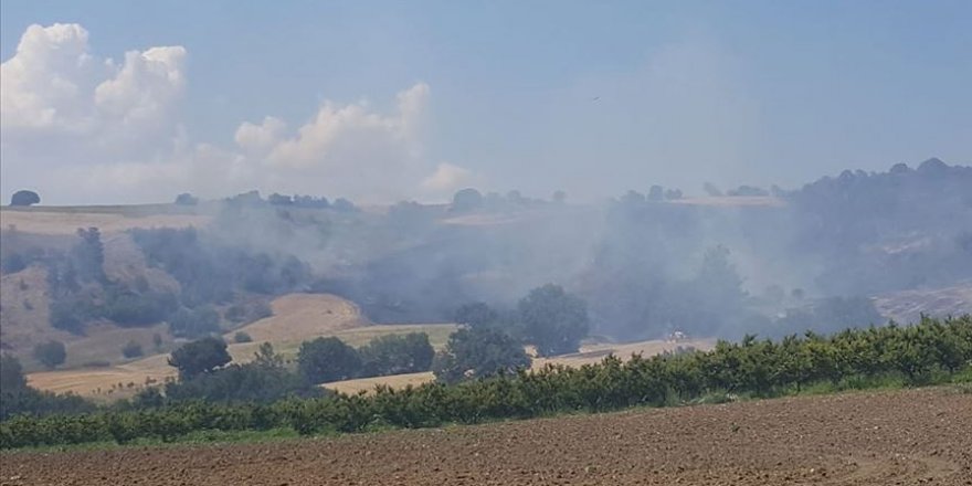 Çanakkale’deki orman yangını kontrol altına alındı