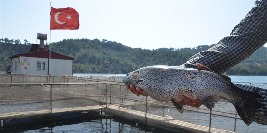 Denizi Olmayan Kentten 25 Milyon Dolarlık Balık İhracatı