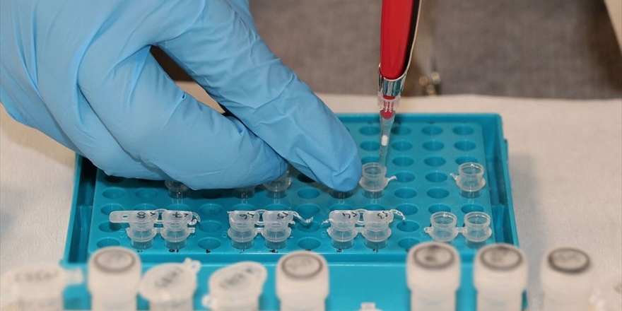 Bazı Kanser Türlerini Semptomlar Görülmeden Birkaç Yıl Önce Tespit Eden Test Geliştirildi