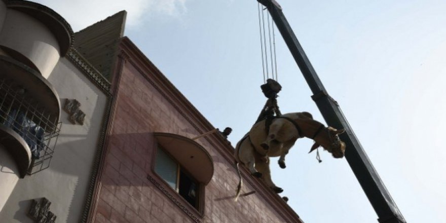 Çatılardan Kurban pazarına yolculuk başladı