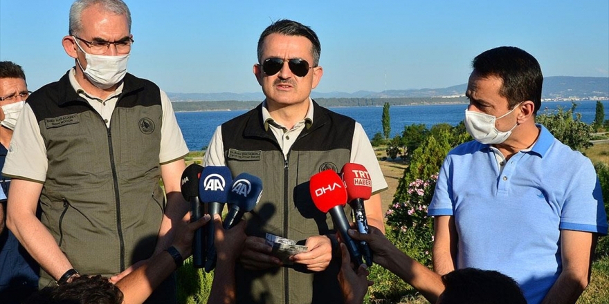 Bakan Pakdemirli: Tüm Orman Yangınları Kontrol Altında