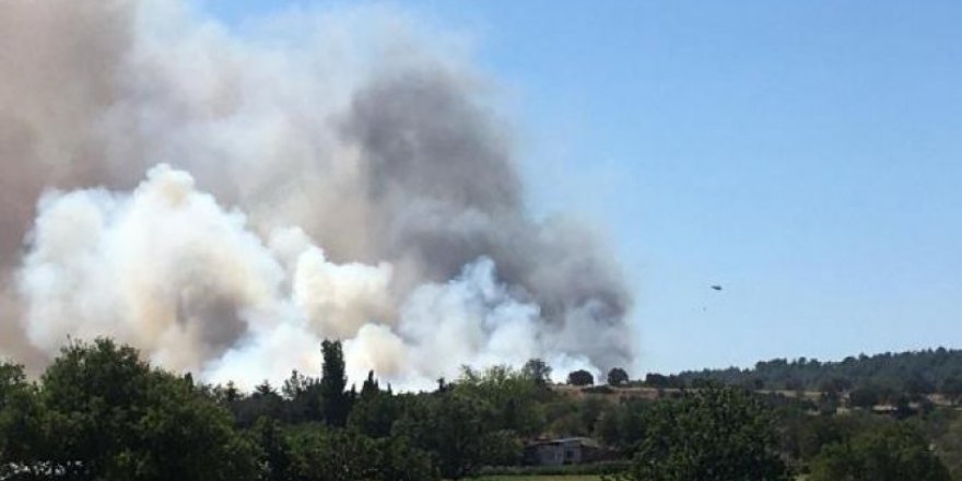 Çanakkale'de orman yangını: Yaralılar var