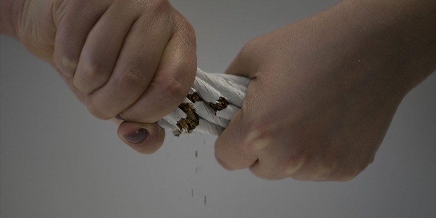 Türk Bilim İnsanları Nikotinin Bağışıklık Sistemini 'Saldırganlaştırdığını' Kanıtladı