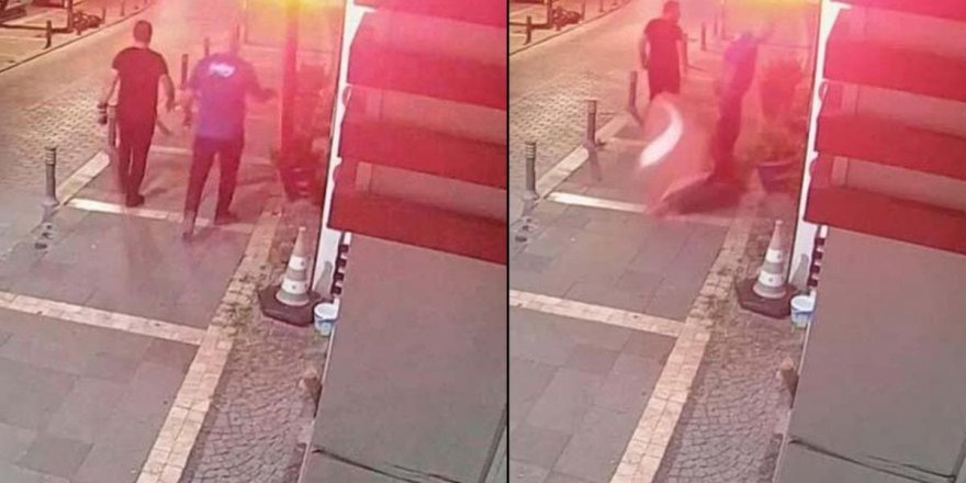 Şile'de Türk bayrağına saldıran kişi tutuklandı