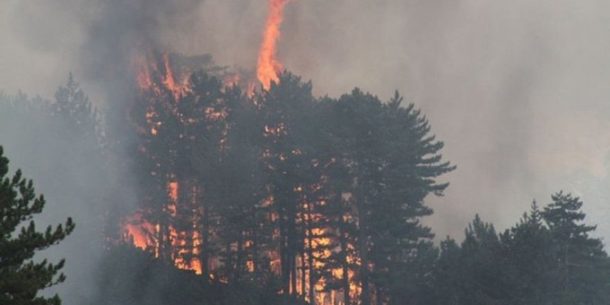Dört bir yanımız yanıyor