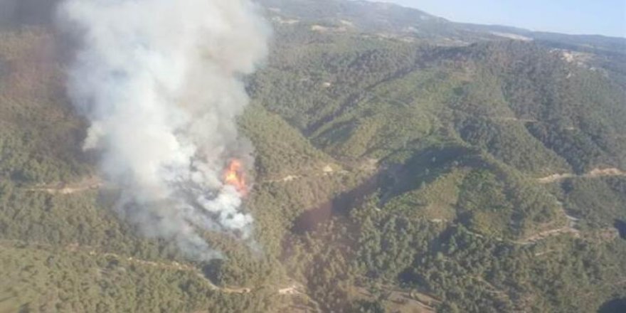 Manisa'da orman yangını! Ekipler müdahale ediyor