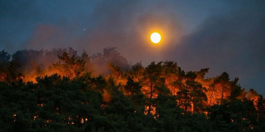 Bakan Pakdemirli: İzmir Menderes Çamönü yangını kontrol altına alınmıştır