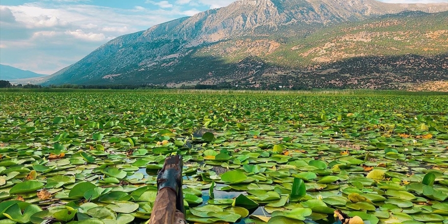Nilüferleriyle Ünlü Işıklı Gölü Doğal Güzellikleriyle Cezbediyor