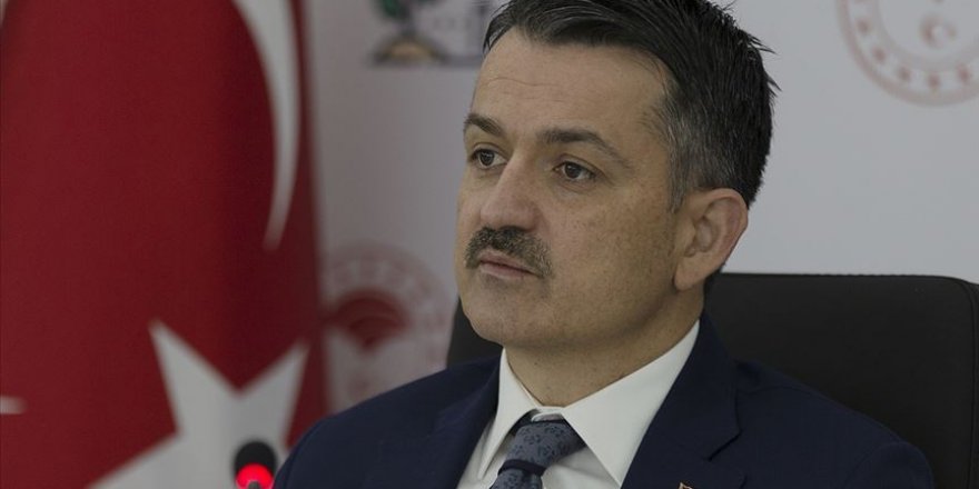Pakdemirli'den İzmir, Uşak, Denizli ve Bursa'daki orman yangınlarına ilişkin açıklama