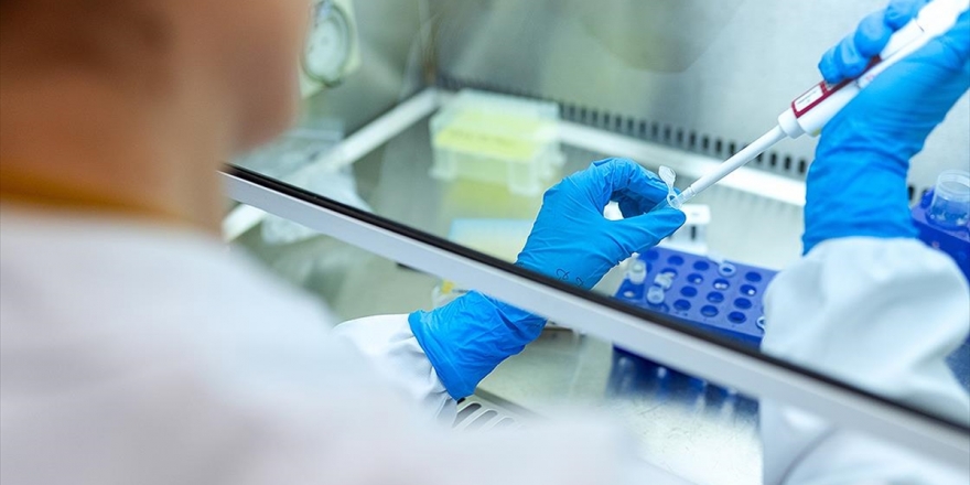 Alman Paul-Ehrlich Enstitüsü Kovid-19 Aşısının Geliştirmesi Konusunda Umutlu