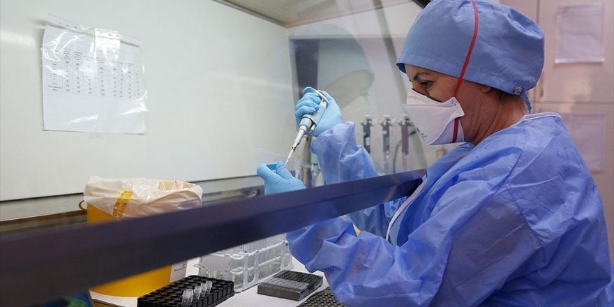 Kovid-19 Mutasyon Çalışmasıyla 'Virüsün Genom Haritası' Çıkarılacak