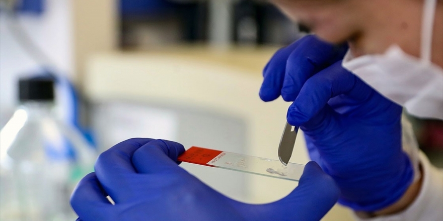 Dünya Pandemiden Çıkışın Anahtarı Kovid-19 Aşısını Geliştirmek Üzere Seferber Oldu