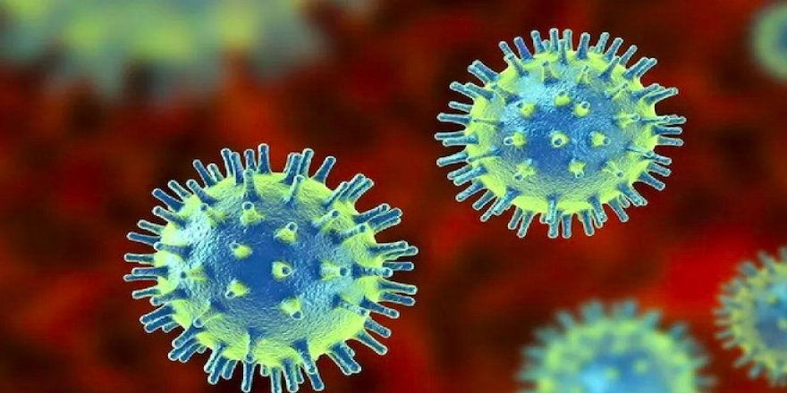 Çin'den öldürücü yeni bir virüs salgını uyarısı: SFTS