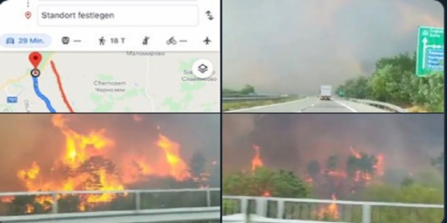 Bulgaristan-Türkiye sınırında yangın