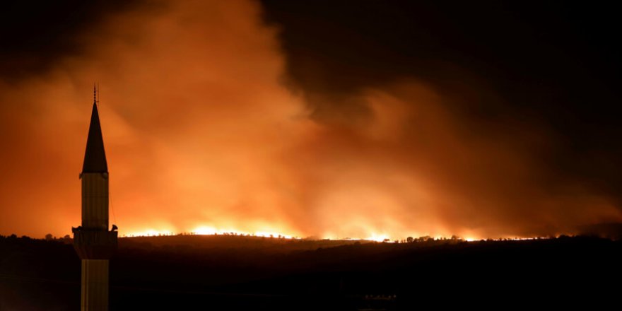 Bulgaristan'daki orman yangını Türkiye sınırına ulaştı!