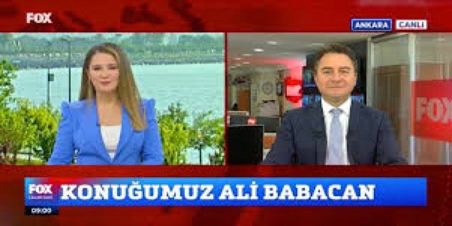 Ali Babacan: 'Ekibimiz Krizi 3 Ayda Çözer'