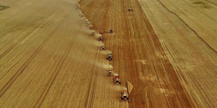 Türkiye’nin tarımını doğru tanımlamak
