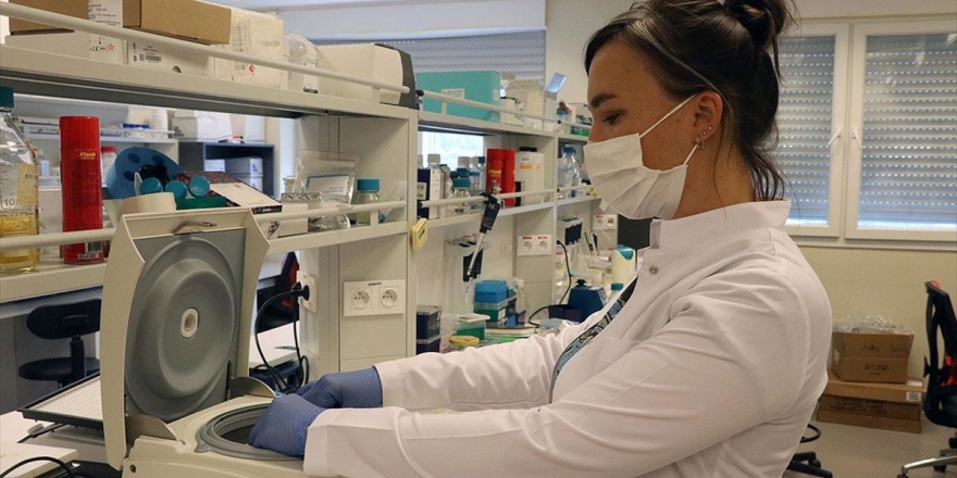 İBG'deki Kovid-19 Aşı Çalışmasında Hayvan Deneyleri Olumlu Sonuçlandı