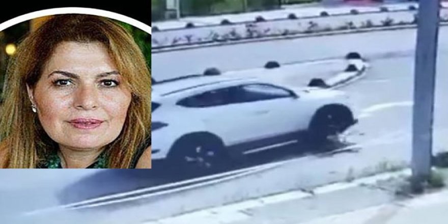 Otomobiliyle köpeği ezen Doç. Dr. Birsen Ocaklı için 3 yıl hapis istemi