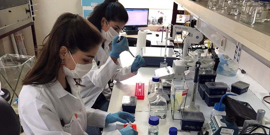 Koronavirüs Aşı Çalışmalarında Önemli Aşamaya Gelindi