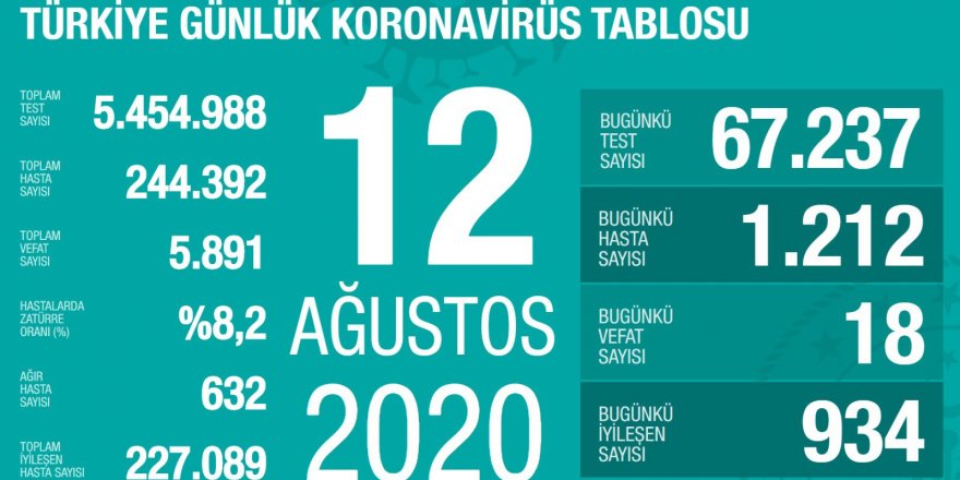 Türkiye'de koronavirüsten 18 ölüm: Bugünkü vaka sayısı 1212
