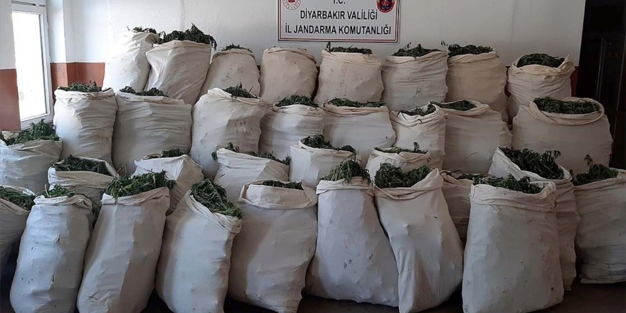 Diyarbakır'da 1 Milyon 119 Bin Kök Kenevir Ve 756 Kilogram Esrar Ele Geçirildi