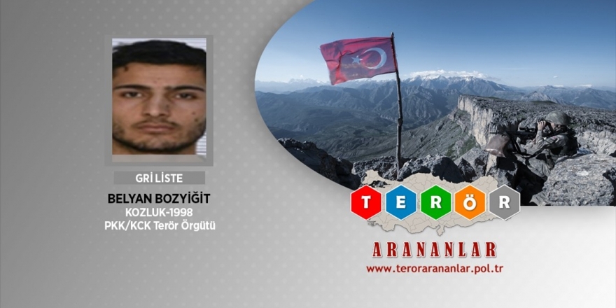 'Gri Kategori'de Aranan Terörist Belyan Bozyiğit Etkisiz Hale Getirildi
