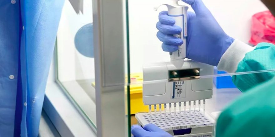 Korona testi ücreti 110 liradan 250 liraya çıktı