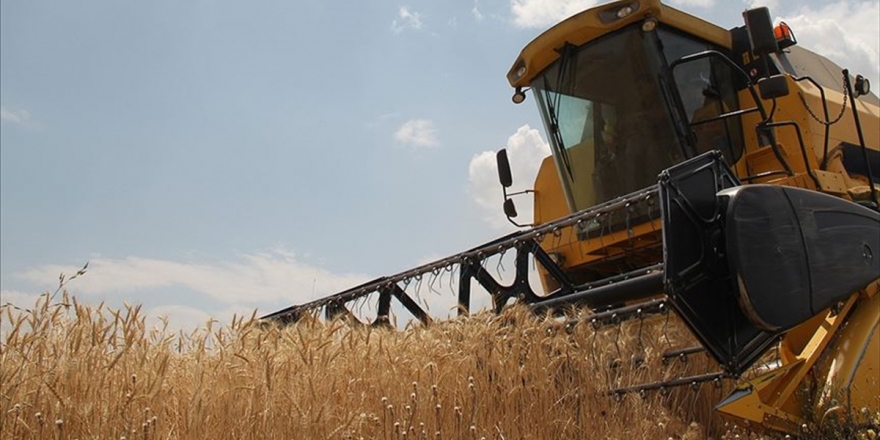 TMO Gıdada Stokçulara Fırsat Vermiyor