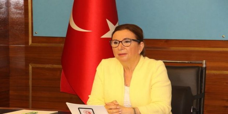 16. İstişare Kurulu Toplantısı Bakan Pekcan başkanlığında yapıldı